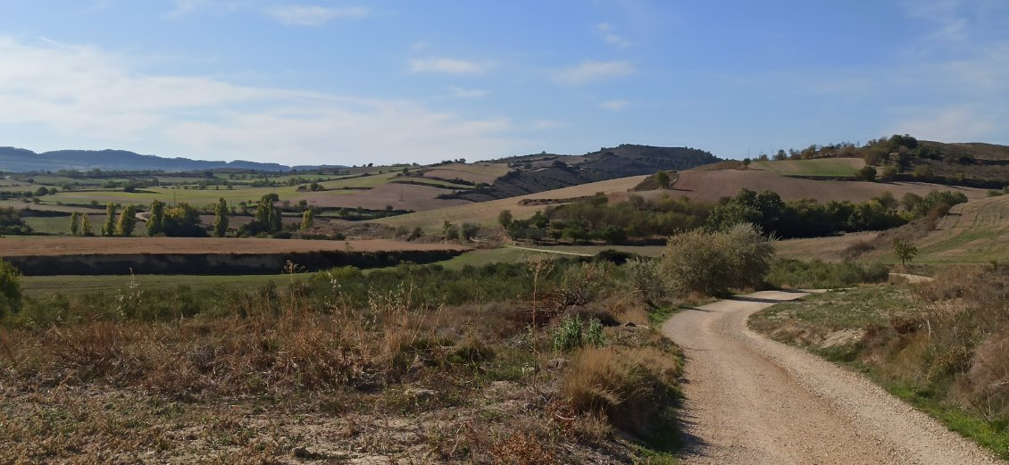 J3. Ce paysage traduit assez bien l'ambiance du milieu dans lequel j'évolue.