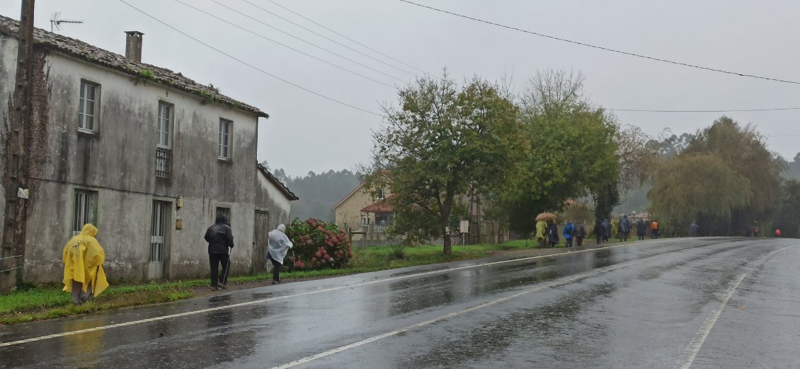 J16. De nombreux marcheurs sont sur le chemin en bordure de route.