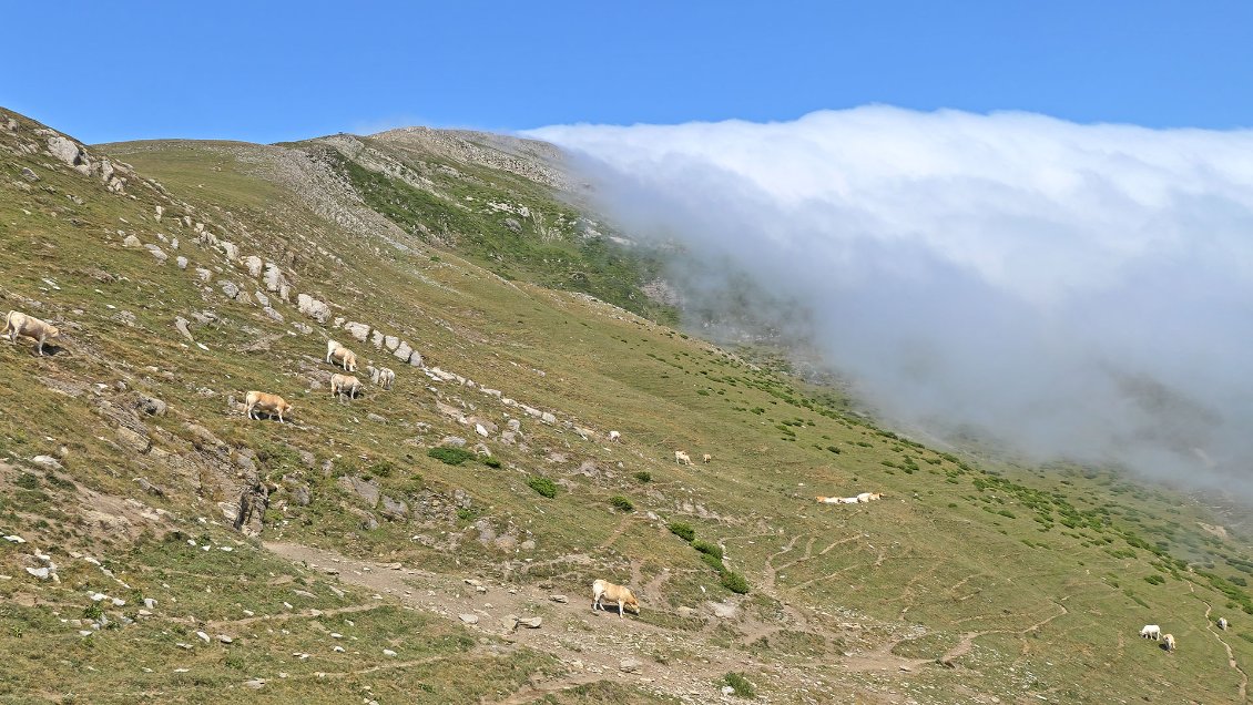 A un moment, le Pic d'Orhy semble se dégager. J'hésite un instant à passer par les crêtes mais la météo et un peu de bon sens m'en dissuadent.