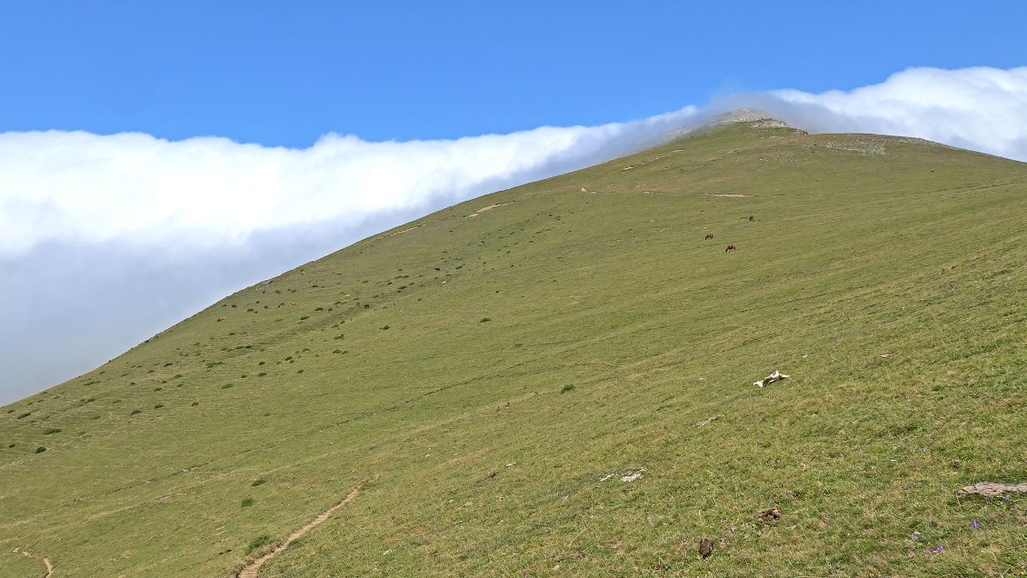 Petite éclaircie sur le versant espagnol du Pic d'Orhy. Mais ça ne va pas durer...