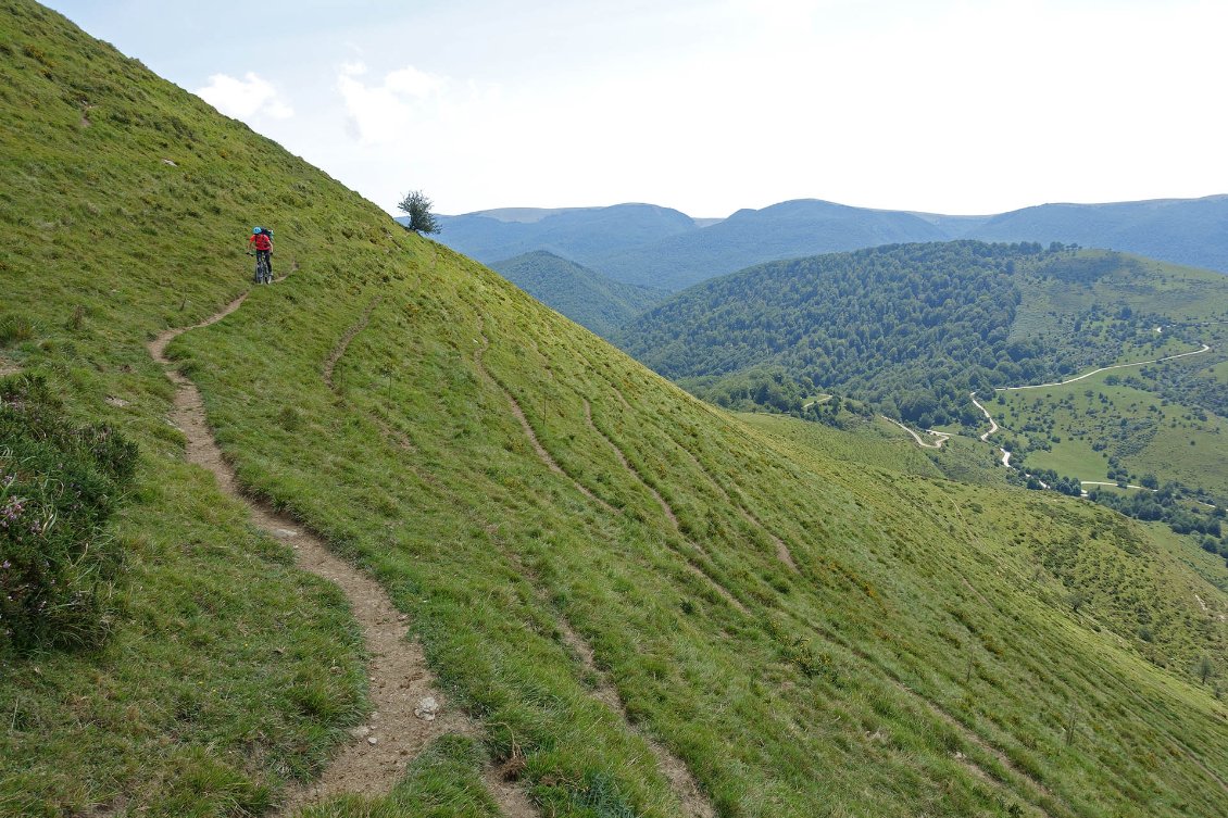 Le sentier est ici à la fois GR 8 et 12. Mais il y passe davantage de bétail que de randonneurs...