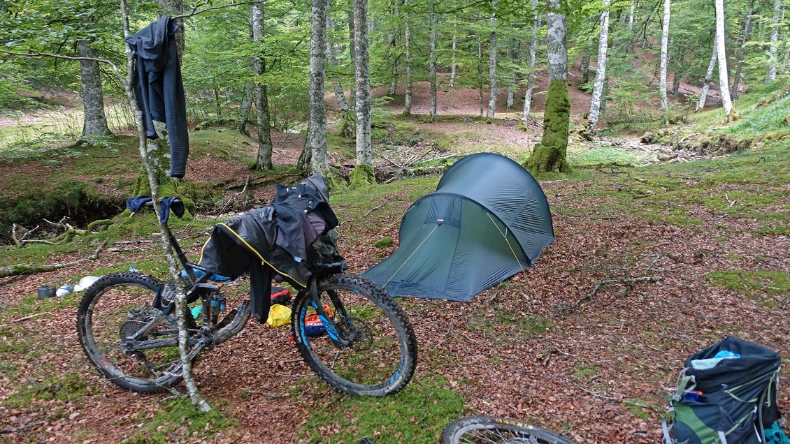 J46. Bivouac tranquille dans la hêtraie à proximité de Roncevaux.