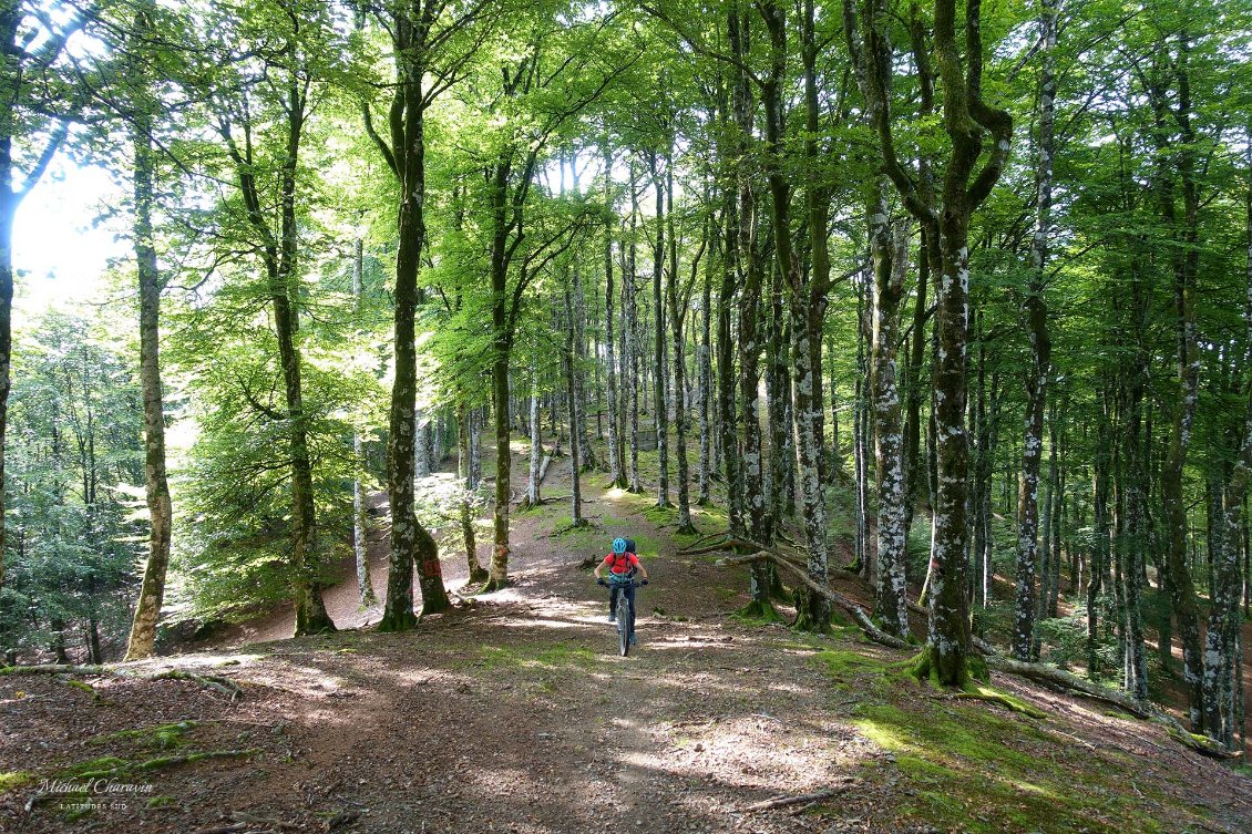 Sur une petite crête entre les cols d'Auzarai et de Teilary