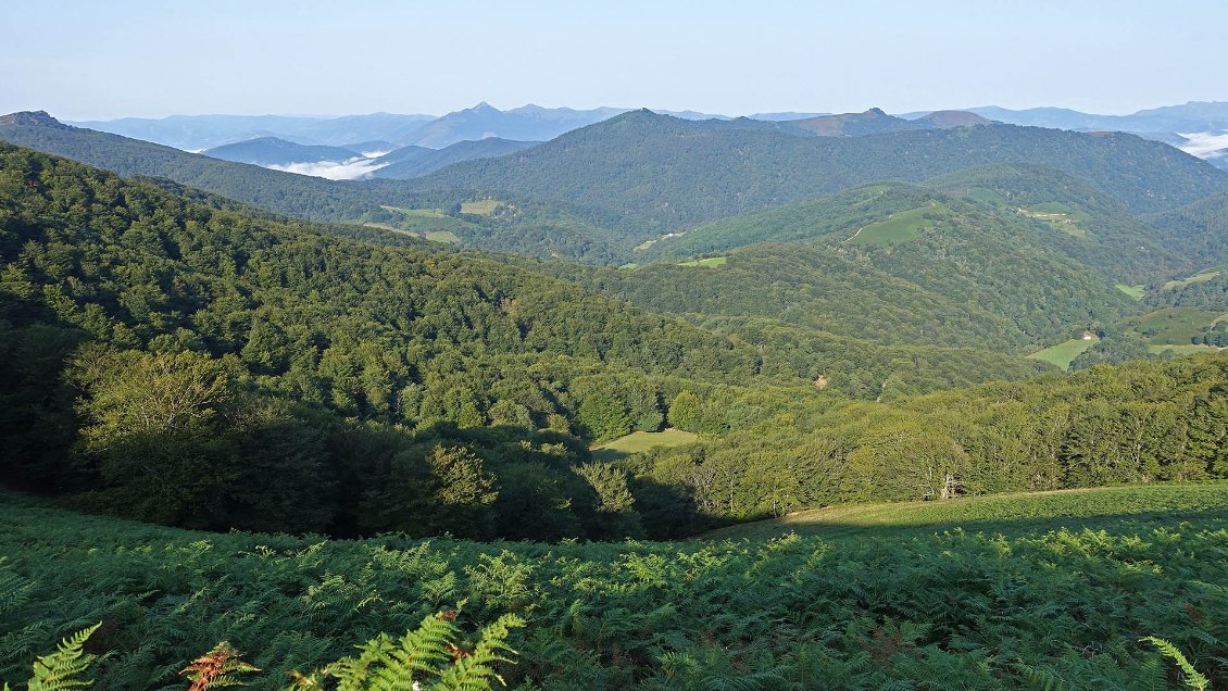 Vue vers les collines entourant la vallée de la Bidasoa, à l'ouest