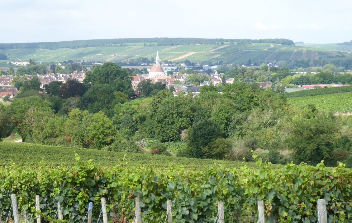 Chablis : partout, des vignes et des côteaux!