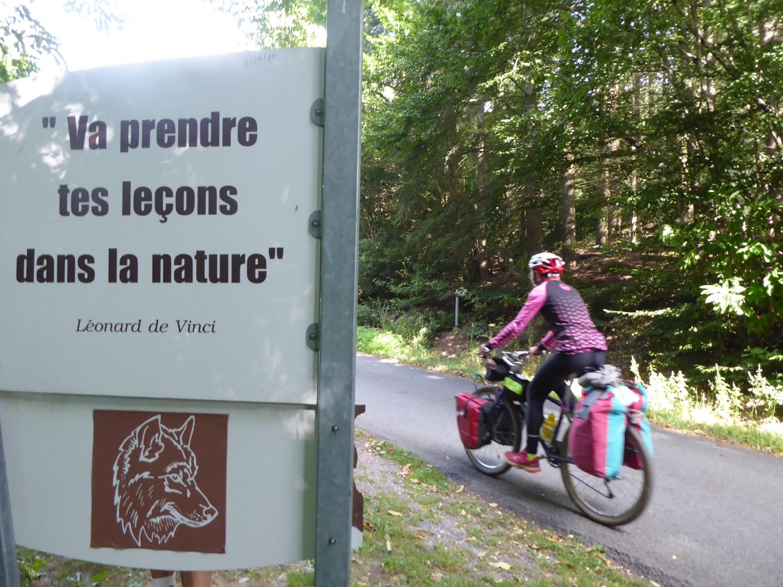 Bien dit!!!