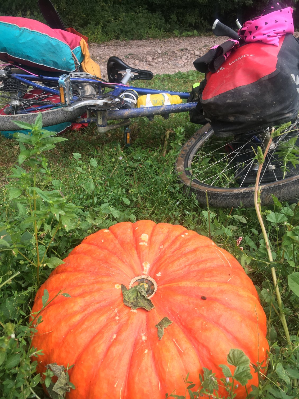 A Sainte Readégonde, princesse un peu fatiguée échangerait vieux vtt contre beau carrosse motorisé...