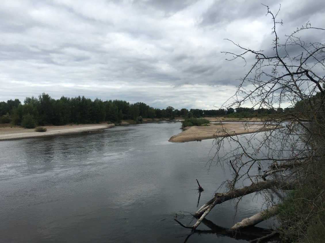 Le long de l'Allier, sur le chemin des castors