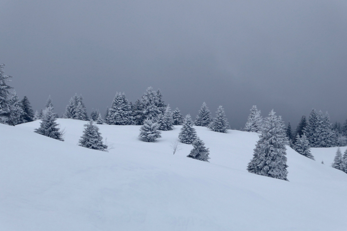 Magie de l'hiver jusrassien.