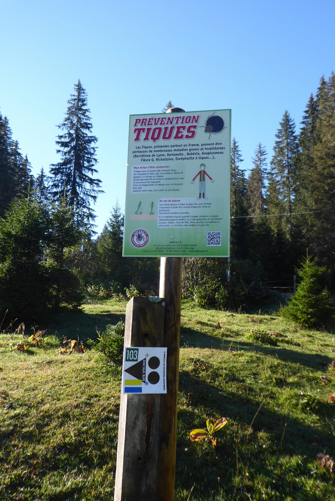 Comme dans les Vosges, gestes réflexes indispensables contre les tiques.