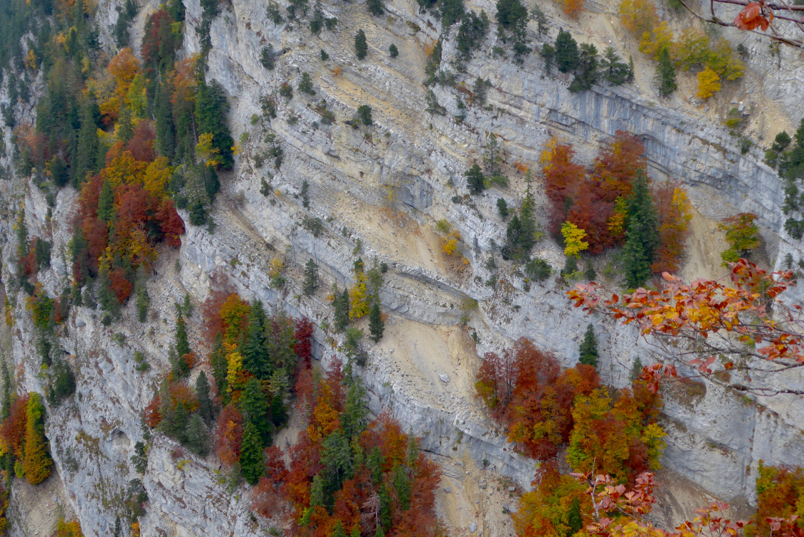 Falaise du Chasseral