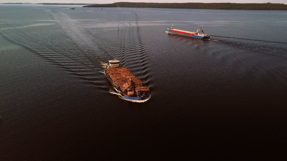 Jamais nous n'avions autant croisé de bateaux remplis de bois, jour et nuit, l'économie doit reprendre et continuer d'être profitable.