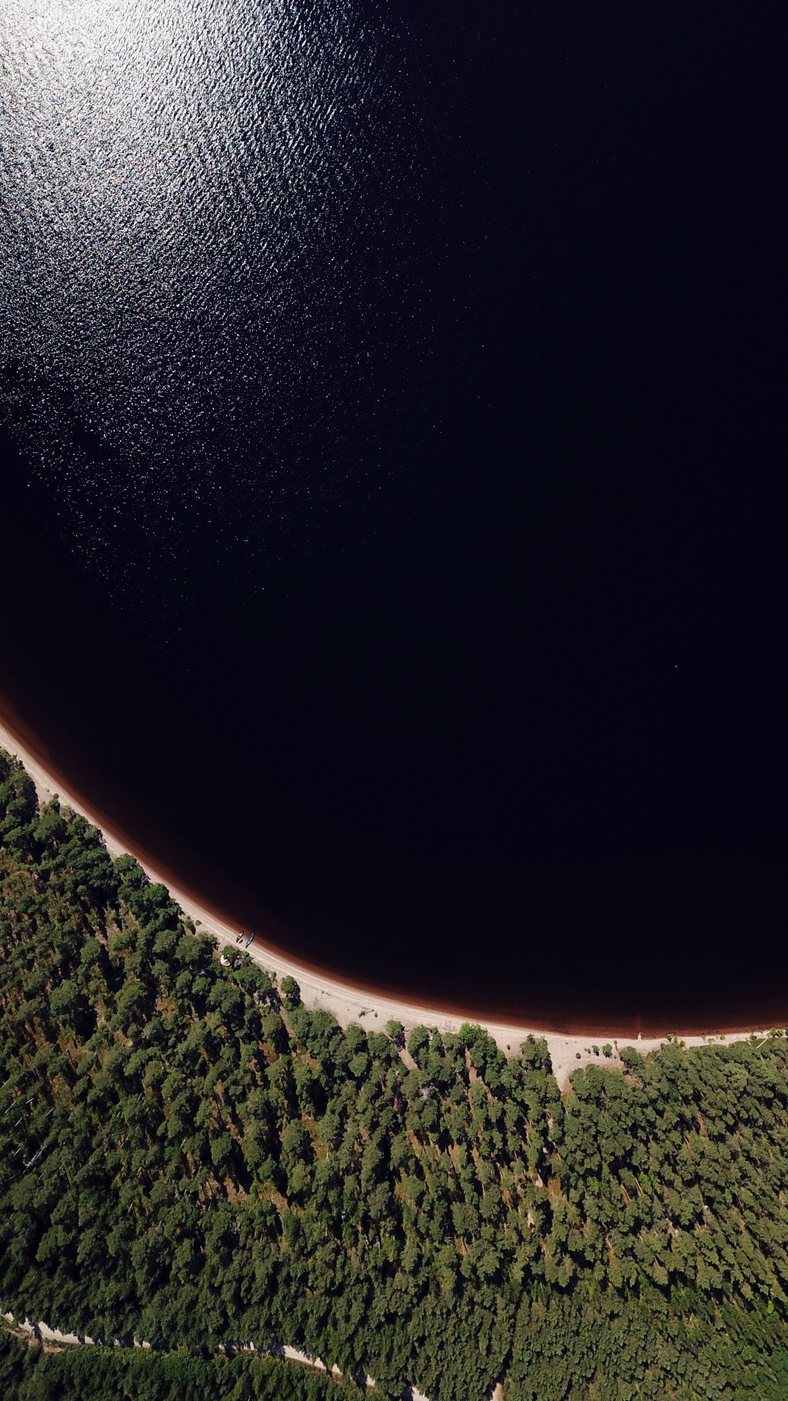 Sauver la planète c'est la prétention d'une génération accros aux écrans et qui en rajoute, elle même, au surpeuplement de la Terre.