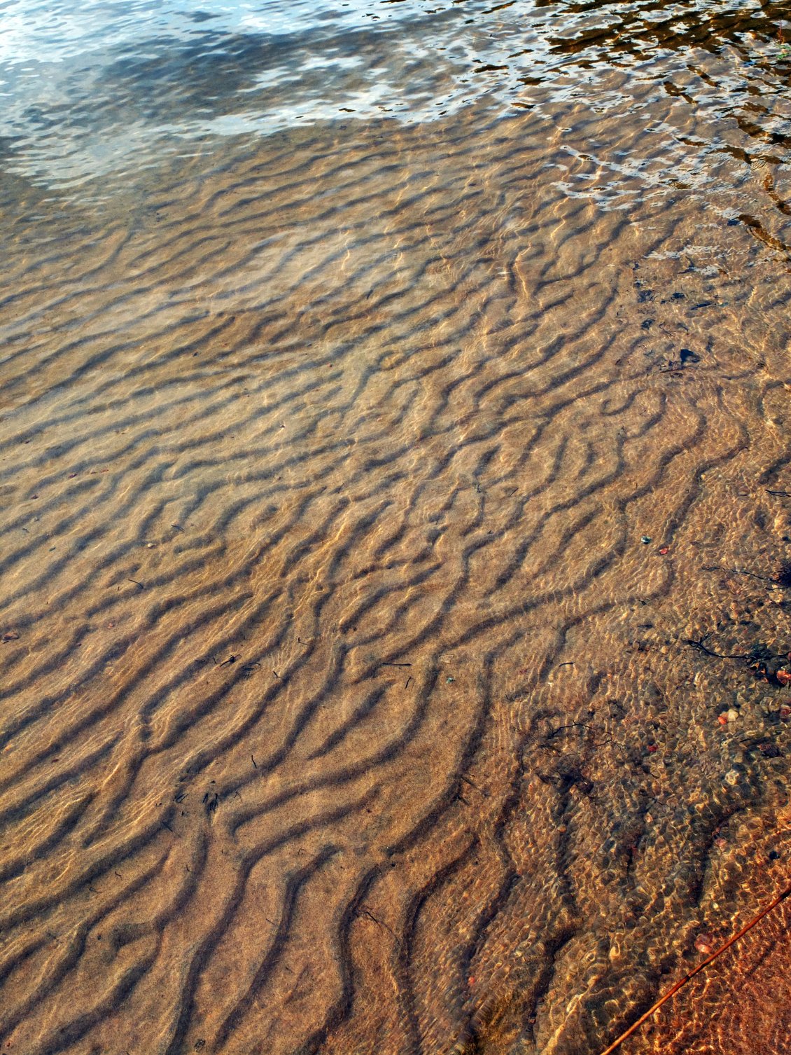 Cette eau nous la buvons depuis des années sans même la filtrer, c'est donc un endroit idéal pour y voyager, surtout quand la nature à autant de talent.
