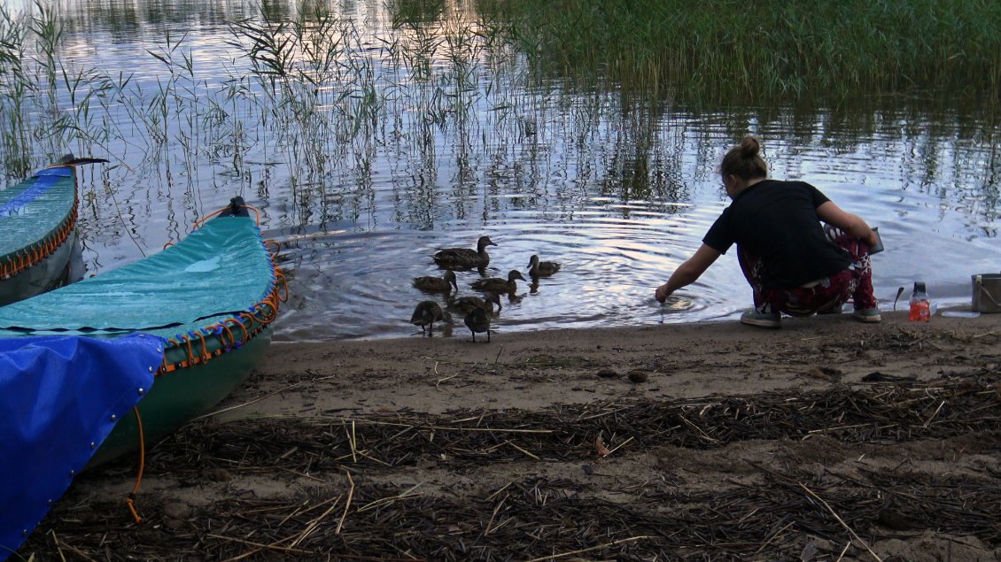 Puis on se sentirais un peu des connards de ne rien offrir aux canards !