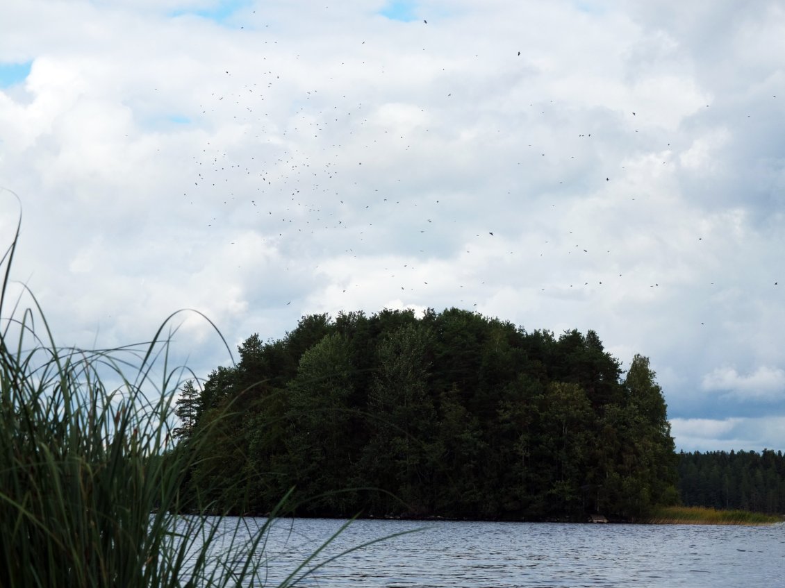 En route pour la traversée de Varkaus dans une nuée dont on ne sait quels oiseaux, avant j'aurai pris le temps de redresser l'horizon mais c'est désormais du passé.