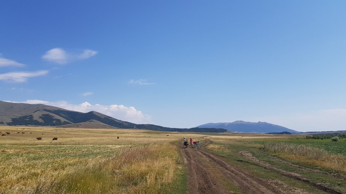 Plaine moissonnée du haut-plateau de l'Aragatson
