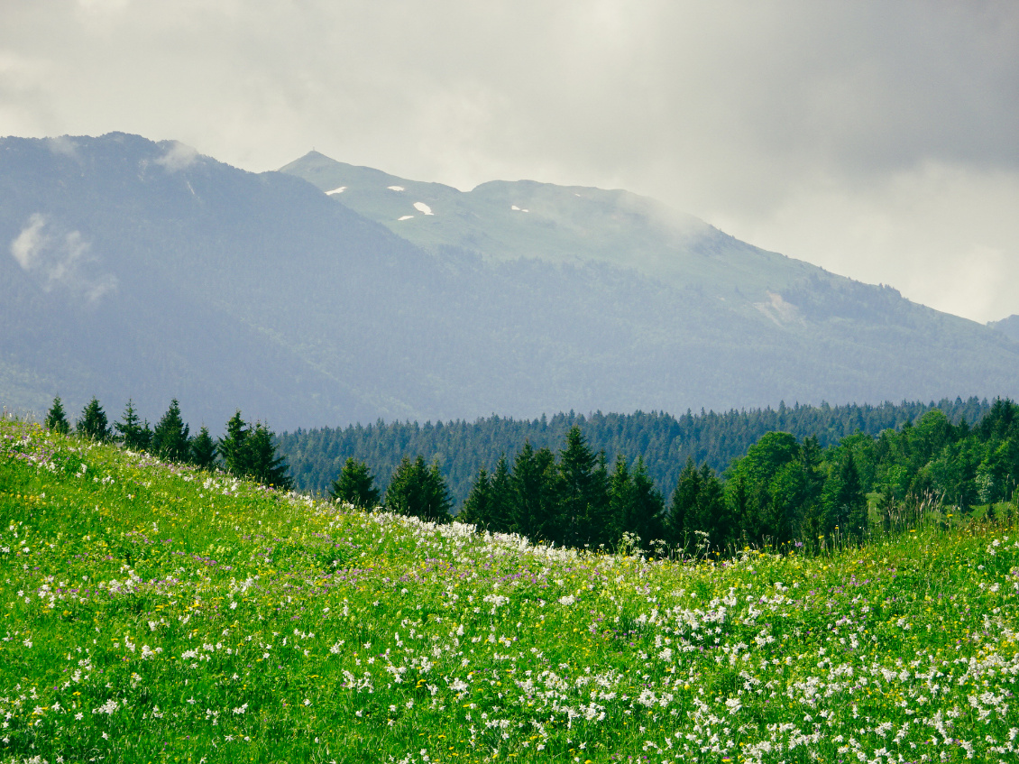 Jura, Rando printanière. Au fond Reculet et crêt de la Neige.
Photo : Jean-Baptiste Caverne