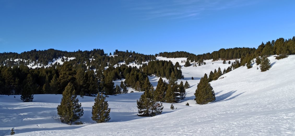 J2. Ce plateau a un petit quelque chose de no man's land. D'ailleurs hormis la veille, au départ vers les pistes de ski, je ne capte pas de réseau téléphonique.