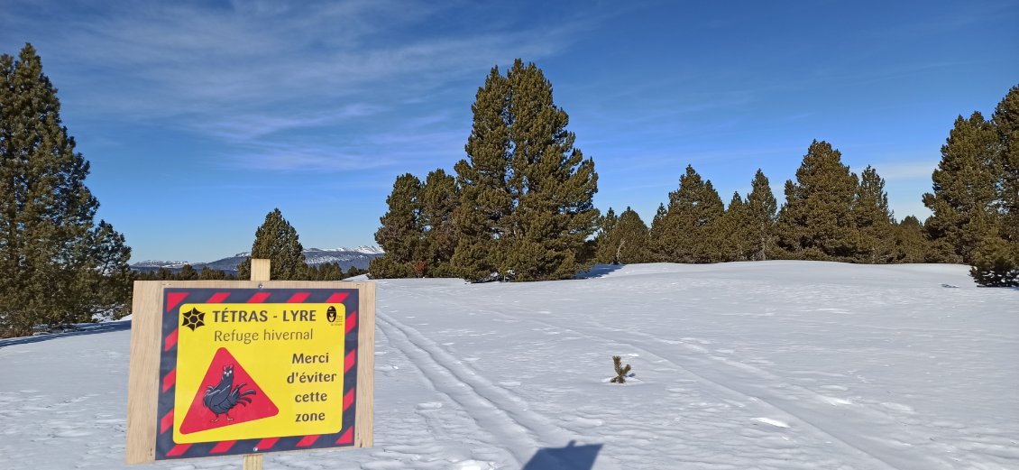 J2. Il y a plusieurs zones de protection du tetra qui en l'occurrence dans le coin semble plutôt baraqué (cf. pancarte).