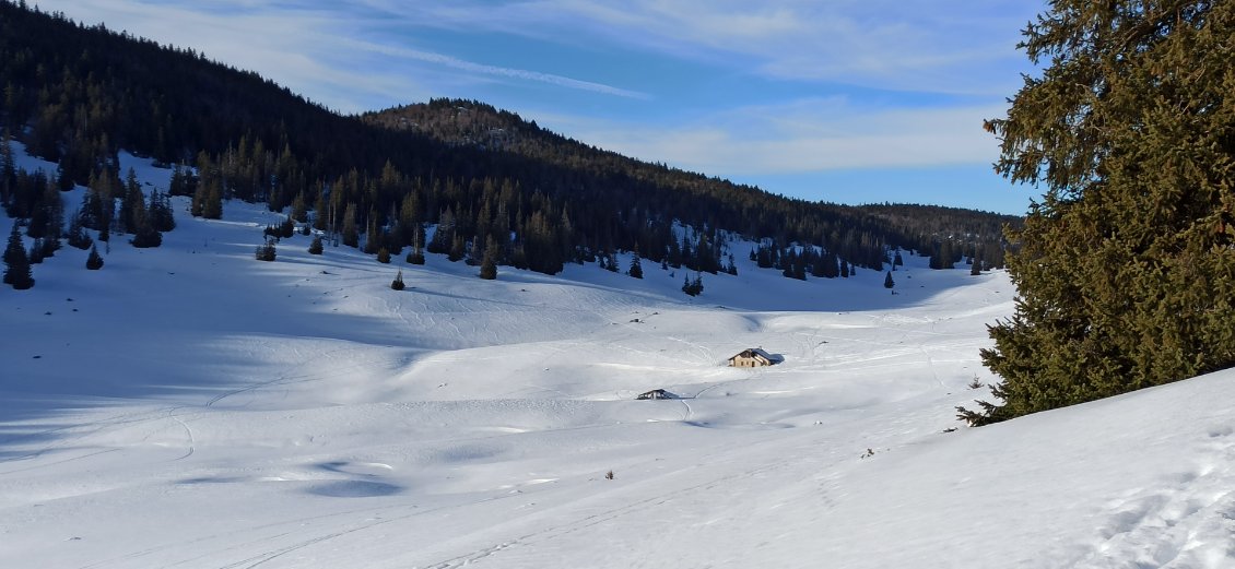 J4. Clairière de Darbounouse.