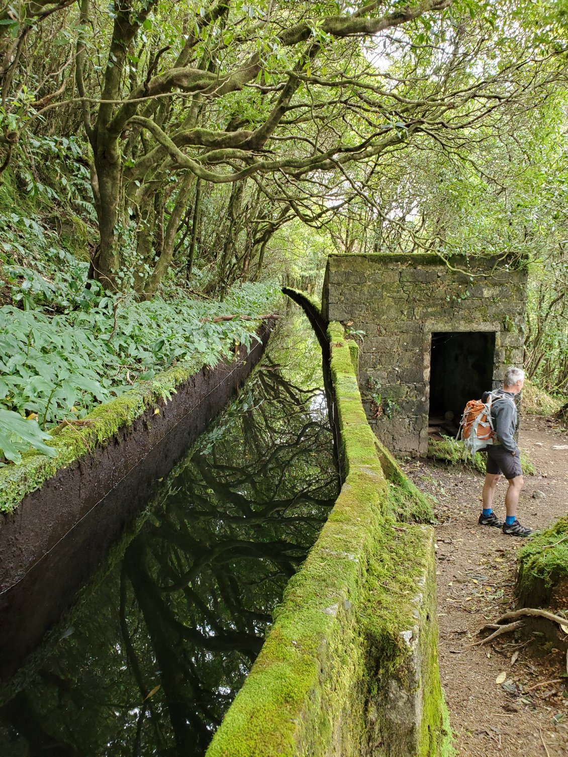 Les levadas (aqueducs) sur le chemin au lac Fogo