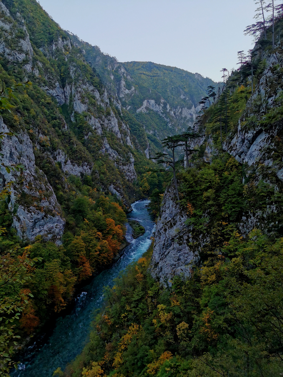 Gorges de la Piva.
Photo : Olivier Chambault
