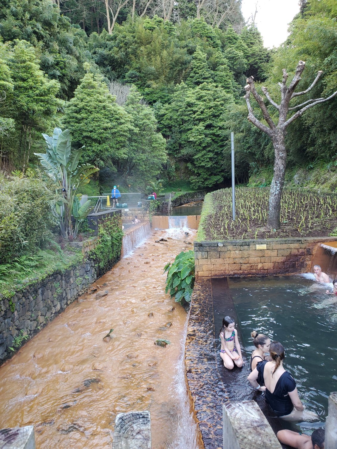 Eaux thermales de Furnas, l'eau est à 39 degrés.