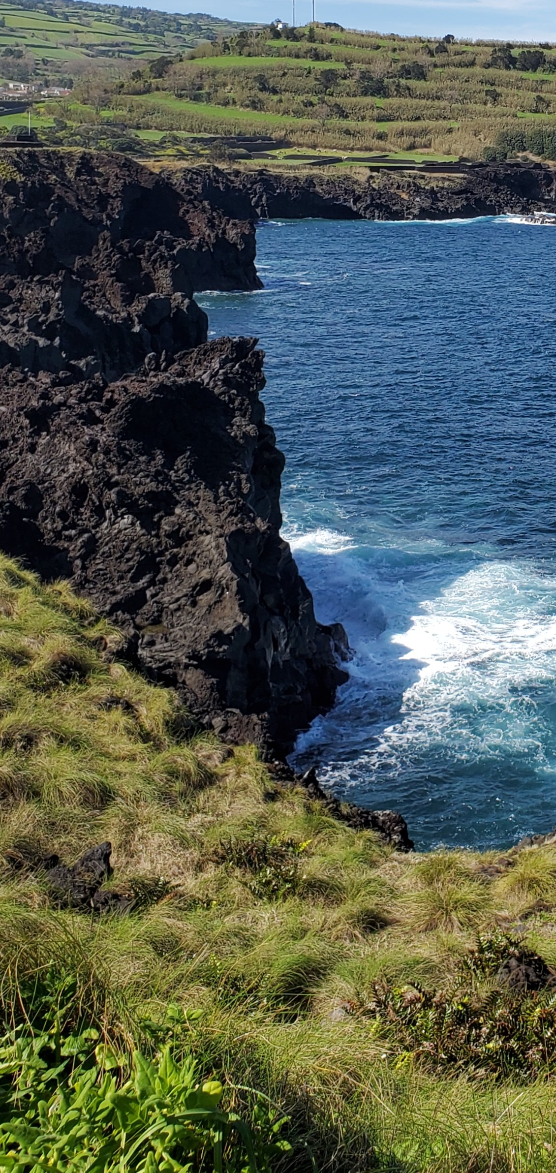 La roche volcanique est omniprésente.