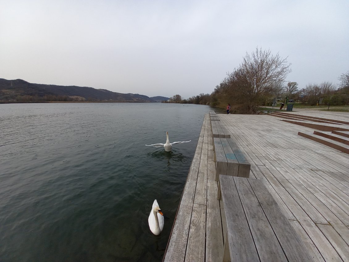 Enfin un peu de douceur en bords de Rhône, ça sent bon