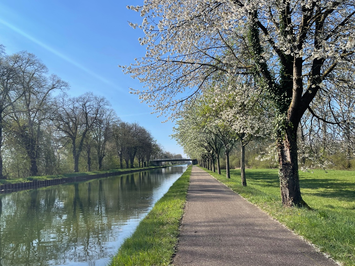 Avant d’arriver à Strasbourg