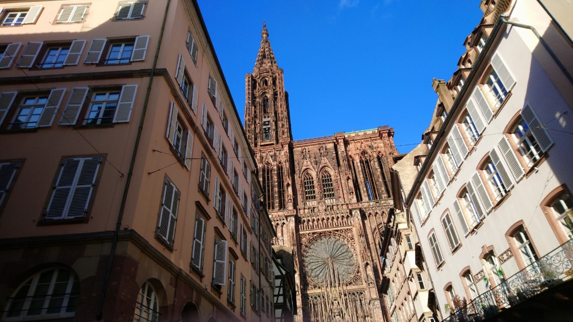 La cathédrale de Strasbourg.