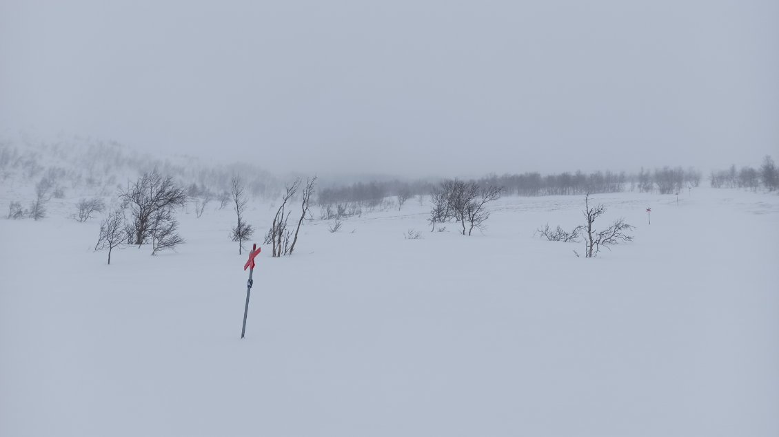 J13. En arrivant au centre / hôtel de Kebnekaise les conditions sont nettement plus favorables. Je ressors mon appareil, avant ce n'était plus possible à mon niveau. Le retour de la végétation me fait penser à mon premier jour, au départ d'Abisko.