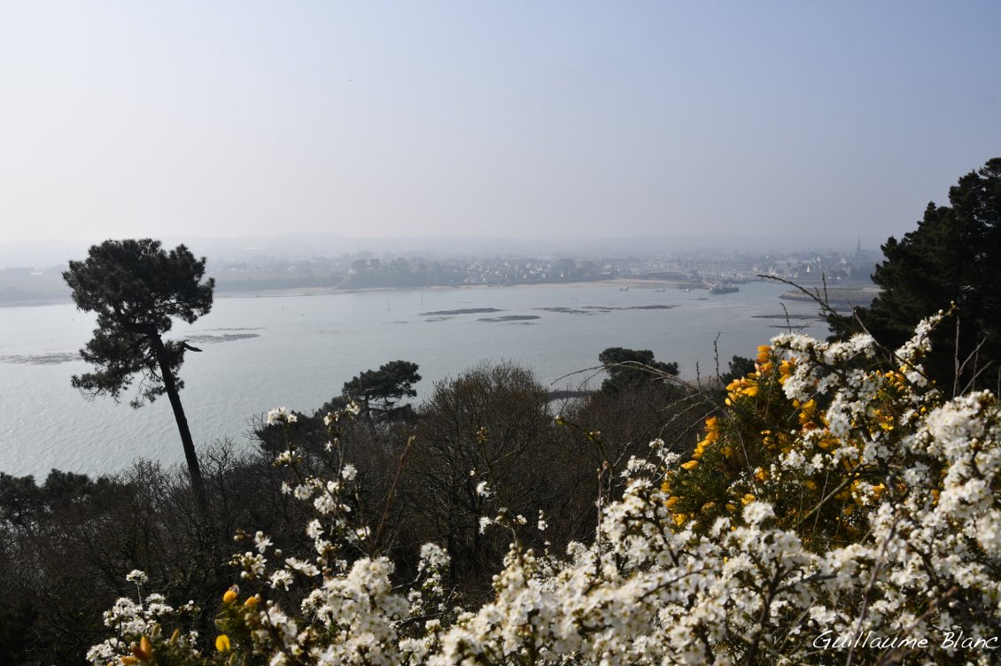 Vue sur l'anse de Paimpol. La campagne en fleur accompagne notre périple. Les lointains sont assez brumeux, ils le resteront. 