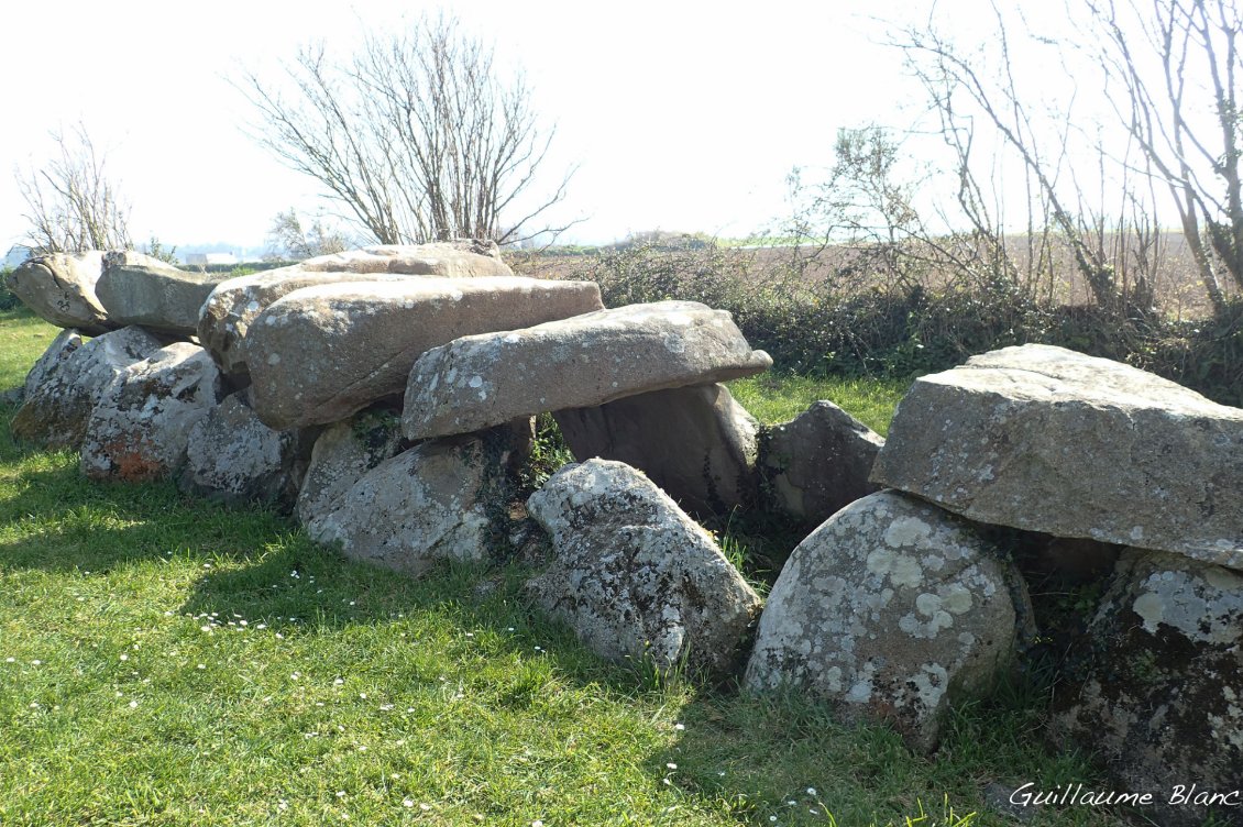 Allée couverte de Mélus. 