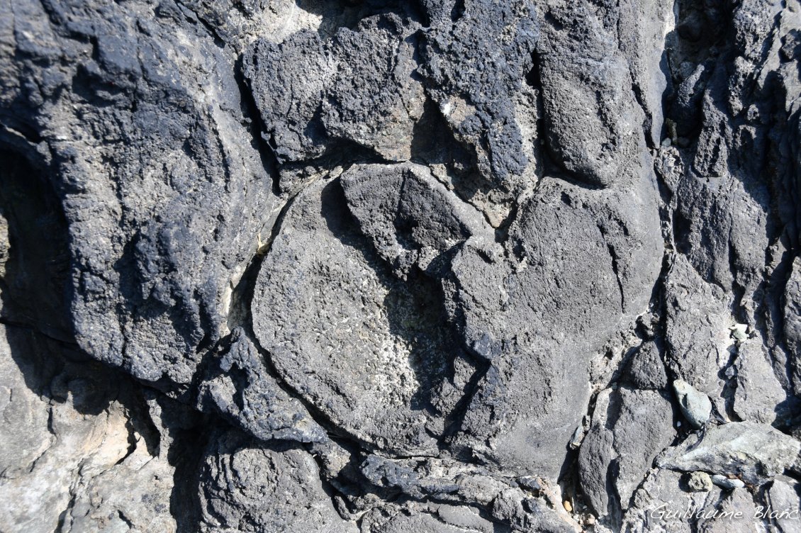 Sur la pointe de Guilben nous découvrons du basalte en coussin, toujours visible 610 millions d'années plus tard, au bord de l'eau.