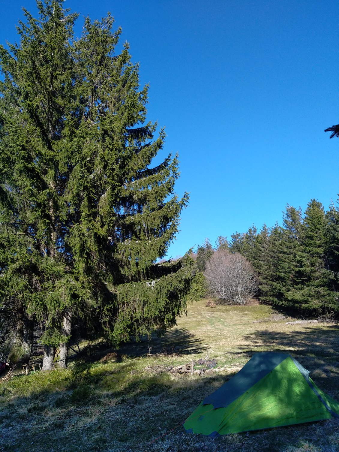 Lieu de bivouac initial avant le déménagement.