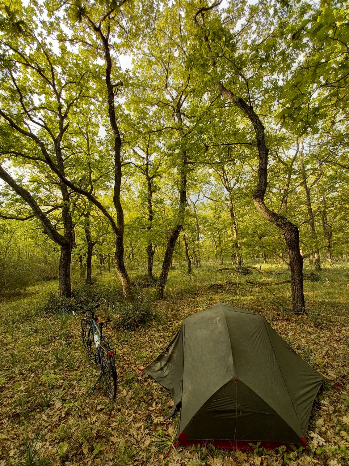 Un surprenant et apaisant bivouac tout près de la cote à Nettuno.
Lieu inhabituel pour attendre le résultat du 2eme tour des élections en France avec des miettes de réseau 3G ;)