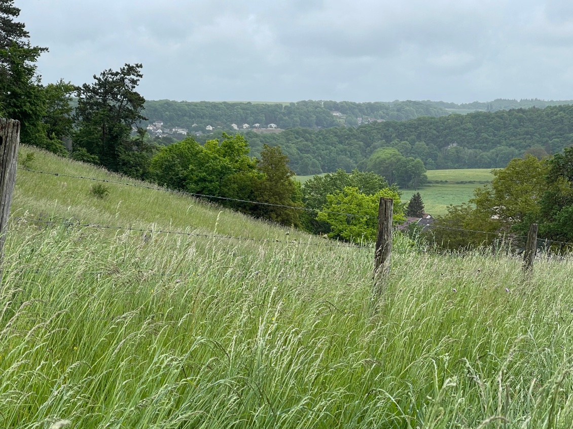 Circourt sur Meuzon 