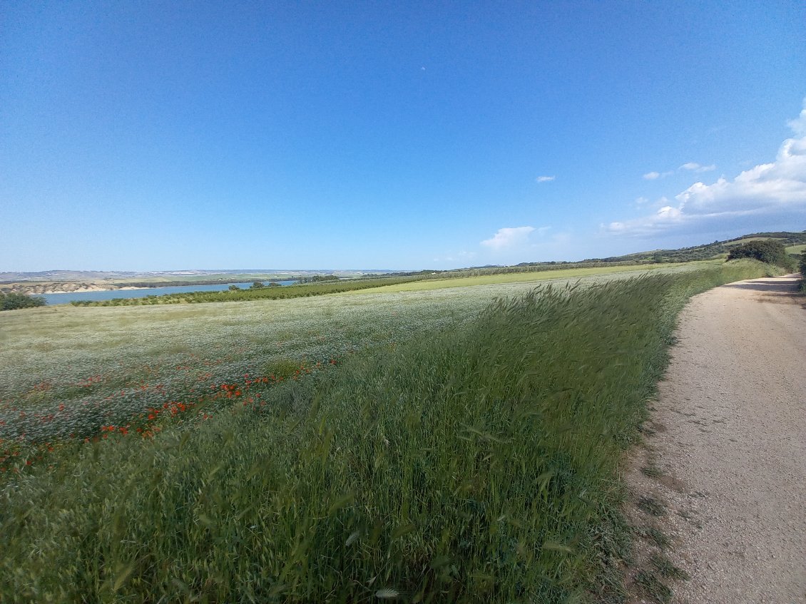 Apres une journee dingue de 110km, sur une route impeccable et deserte (encore du Mussolini), un peu de hors piste avant l'arrivee a Matera