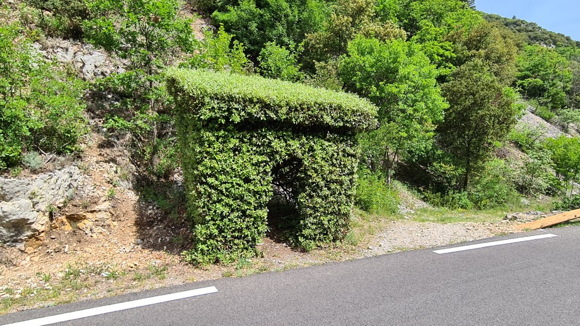 Gorges de la Nesque