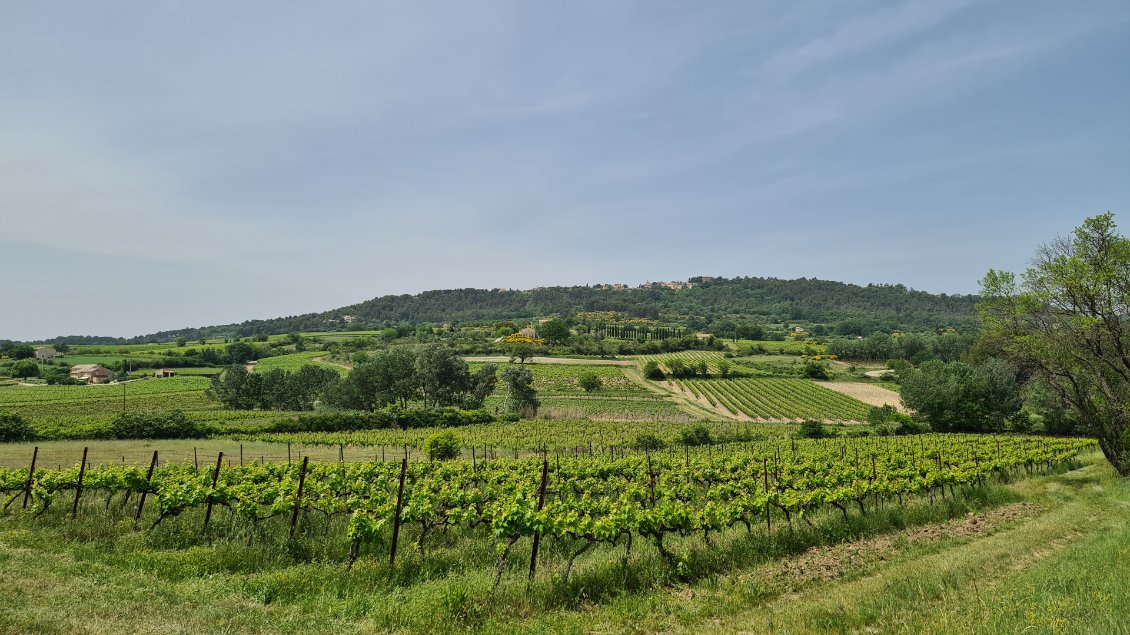 Gorges de la Nesque