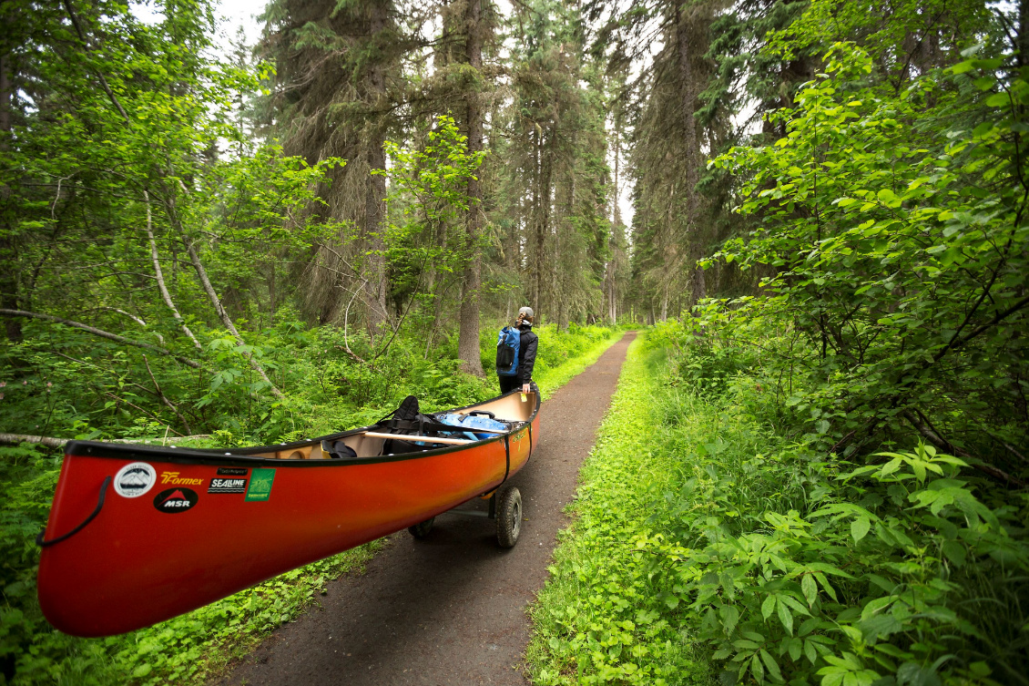 Canoë rigide au portage..
Photo : Dustin Silvey