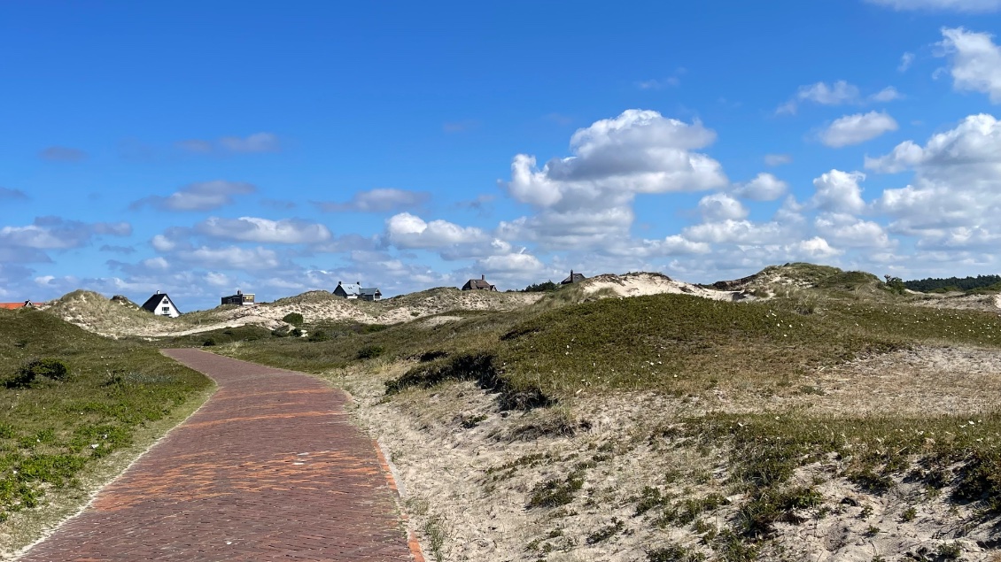 De belles pistes dans les dunes