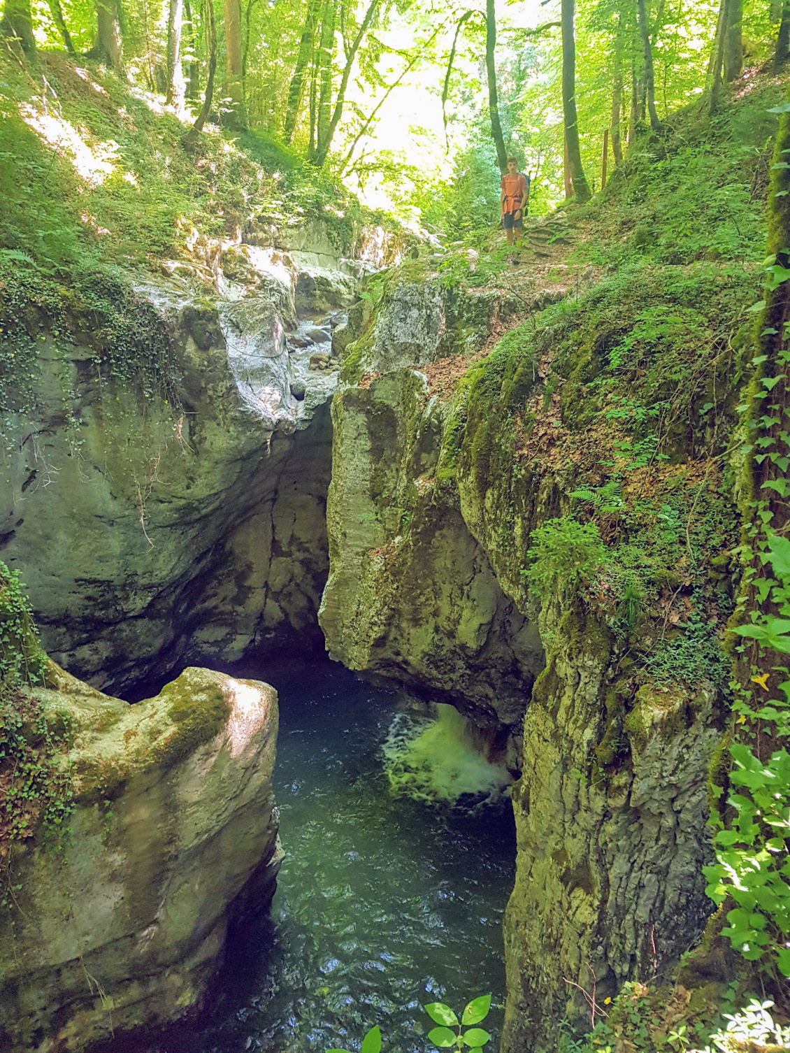 Canyon du Pont du Diable.