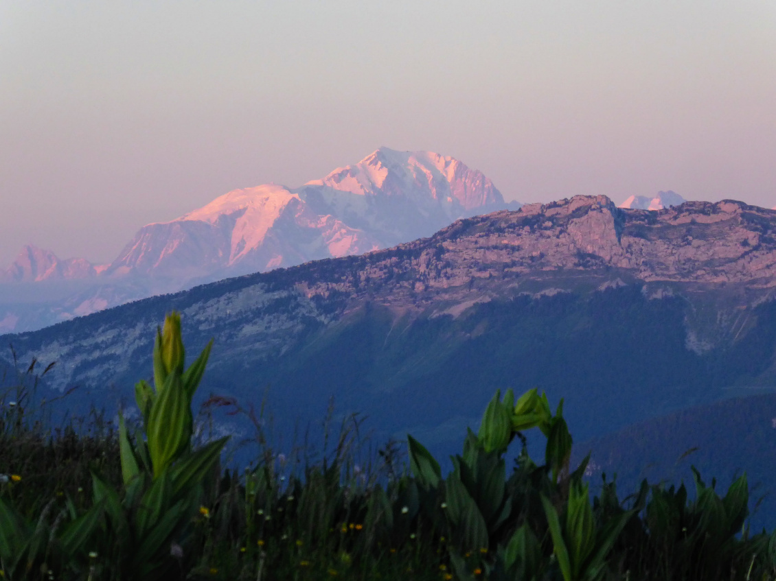 Gentianes vs. mont Blanc