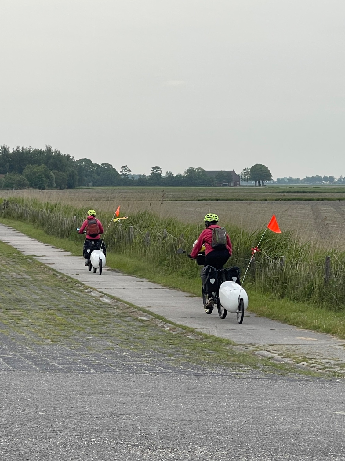 Voici Radia et Marilyne et leurs moutons. Elles débutent leur journée à vélo à 9 heures. Cela fait déjà deux heures que je pédale