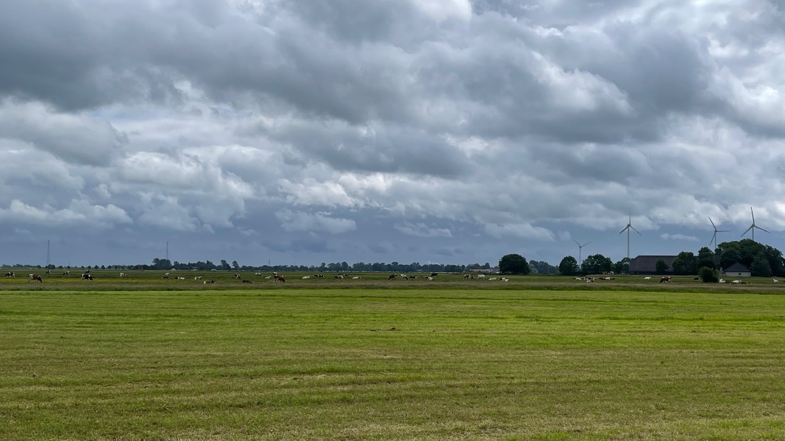 La campagne allemande