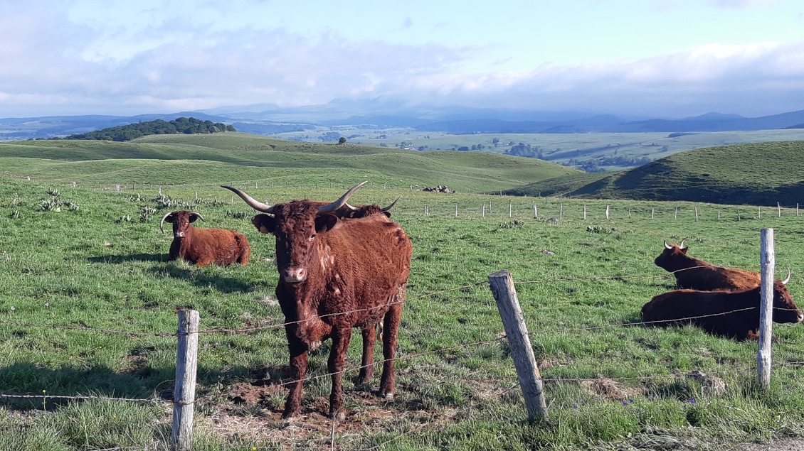 Couverture de nord de l Auvergne en VAF