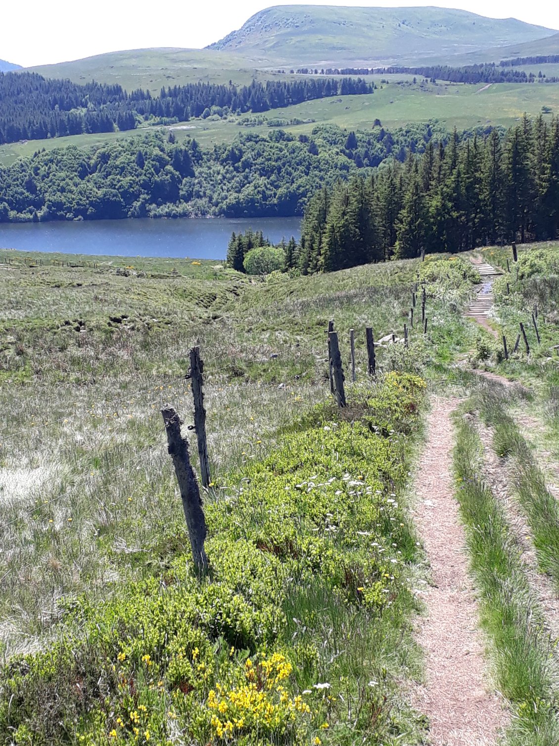 Belle descente qui suit pour attaquer ensuite le long chemin vers la Banne d'Ordanche